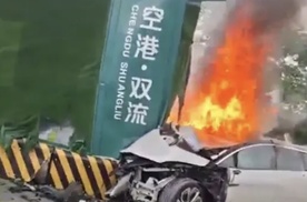 某新势力电车撞树起火引发人员伤亡，又是电子门把手惹得祸？