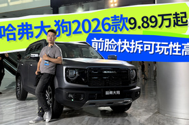 两种动力 快拆前脸可玩性高 哈弗大狗2026款9.89万起