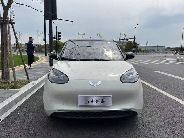 续航333公里,低至5元/100km,新晋网红五菱缤果上市