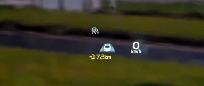 447.jpg