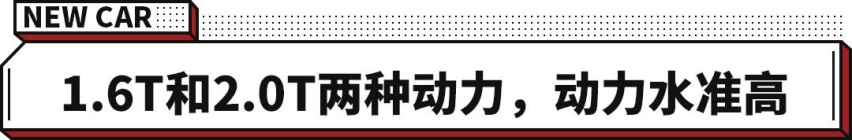 星途揽月 1.6T/2.0T两种动力 最低16.89万起！