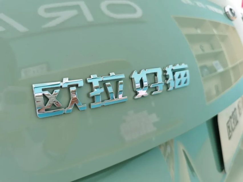 被治愈的一天，探店体验2022款欧拉好猫莫兰迪版