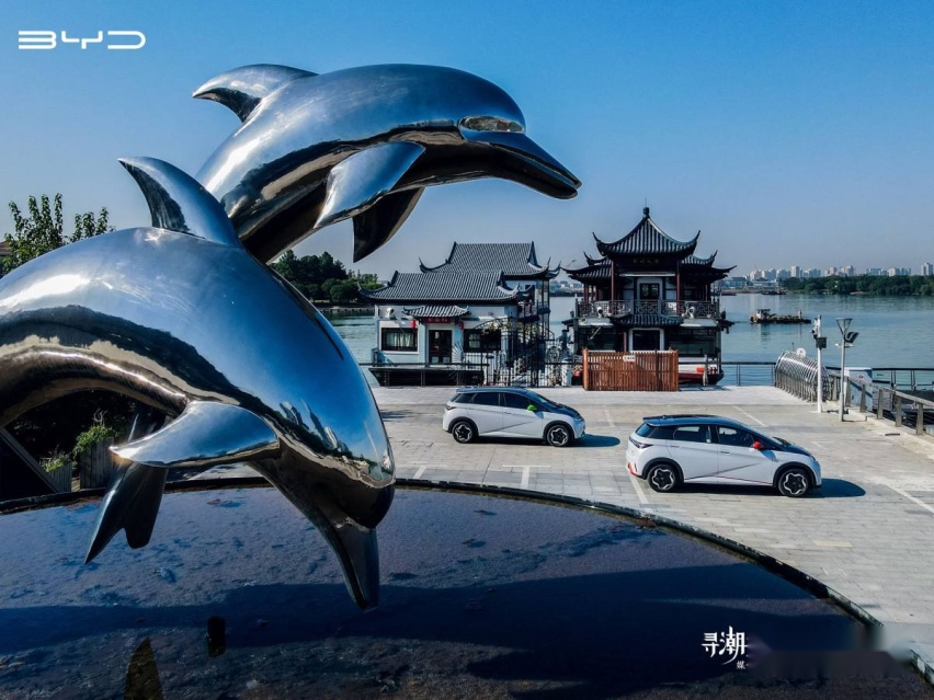​“寻潮造浪 生而出色” 比亚迪海豚苏州领YOUNG启程