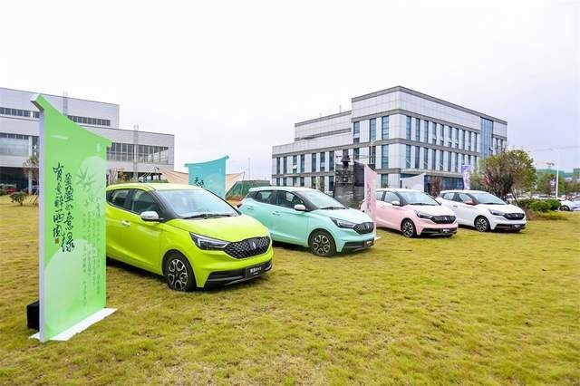 为中国年轻家庭而生 易至EV3青春版灵动上市售价5.28万起