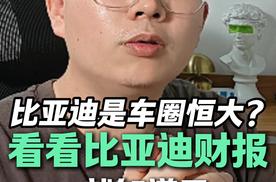 比亚迪是“车圈恒大”？别扯了，看看比亚迪财报就知道了