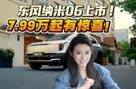 价格有惊喜！东风纳米06售7.99万起上市，对标比亚迪元UP