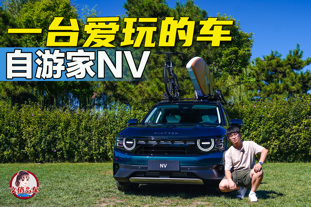 һ̨ĳ ̬μNV