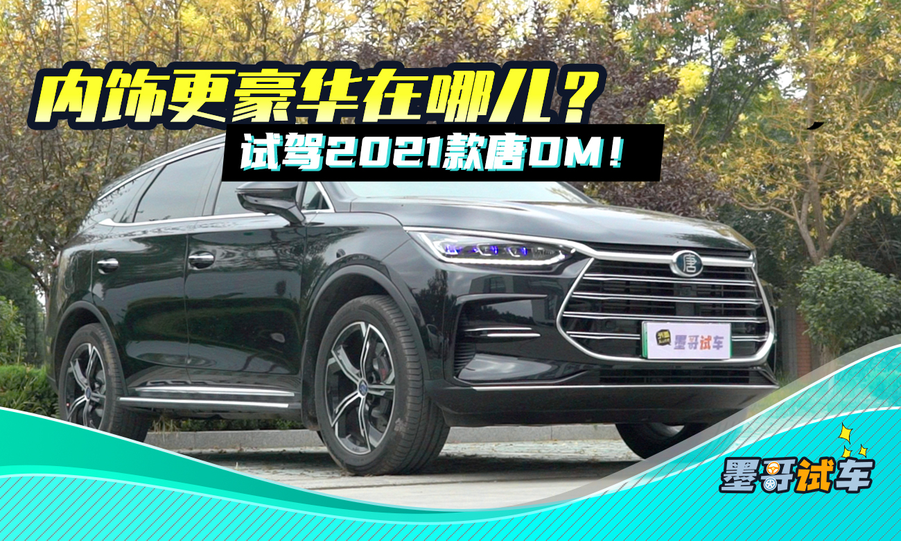 ������A���ģ�ԇ�{2021����DM!