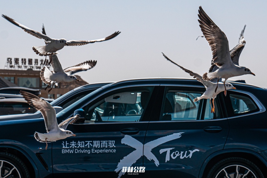 「菲常体验」向西而行 米其林-BMW X Tour体验之旅