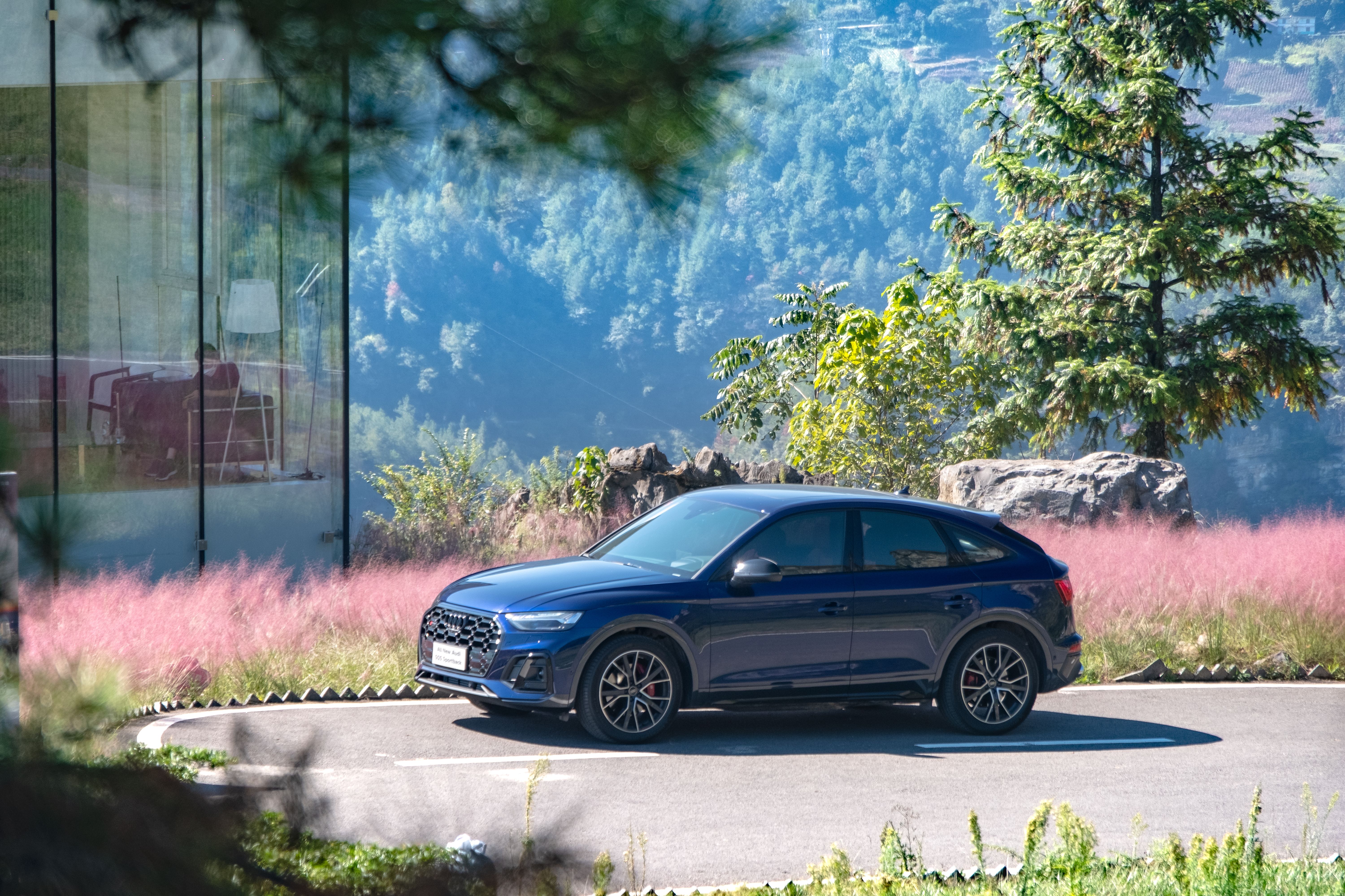 ԻµSQ5/SQ5 Sportback