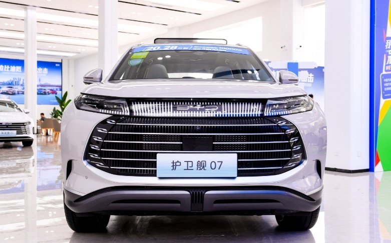 A0级纯电车杀入10万内，海洋网荣耀版车型“电比油低”动真格？
