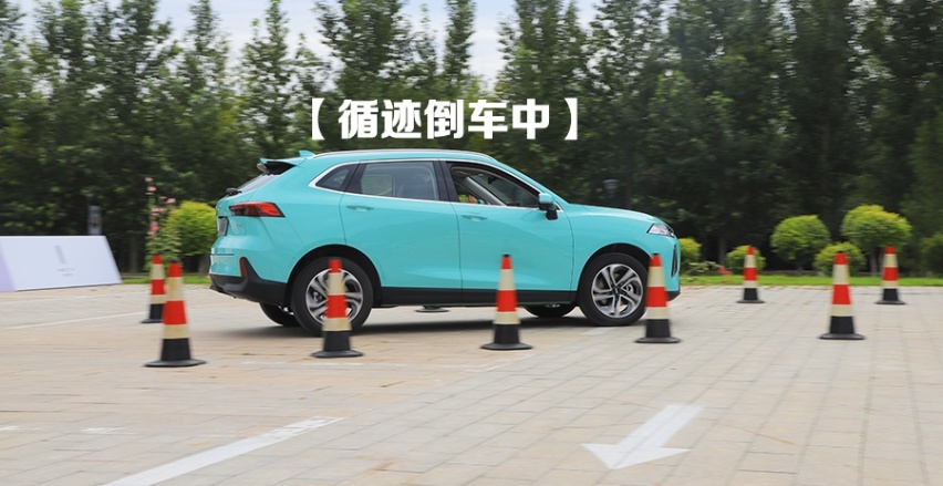 纯电大行其道，混动将扮演什么角色？试驾WEY品牌 玛奇朵