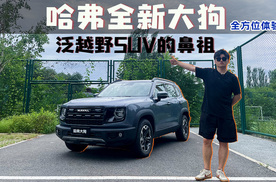 哈弗大狗再进化！全能方盒子，泛越野SUV的鼻祖到底更新了哪些配置？