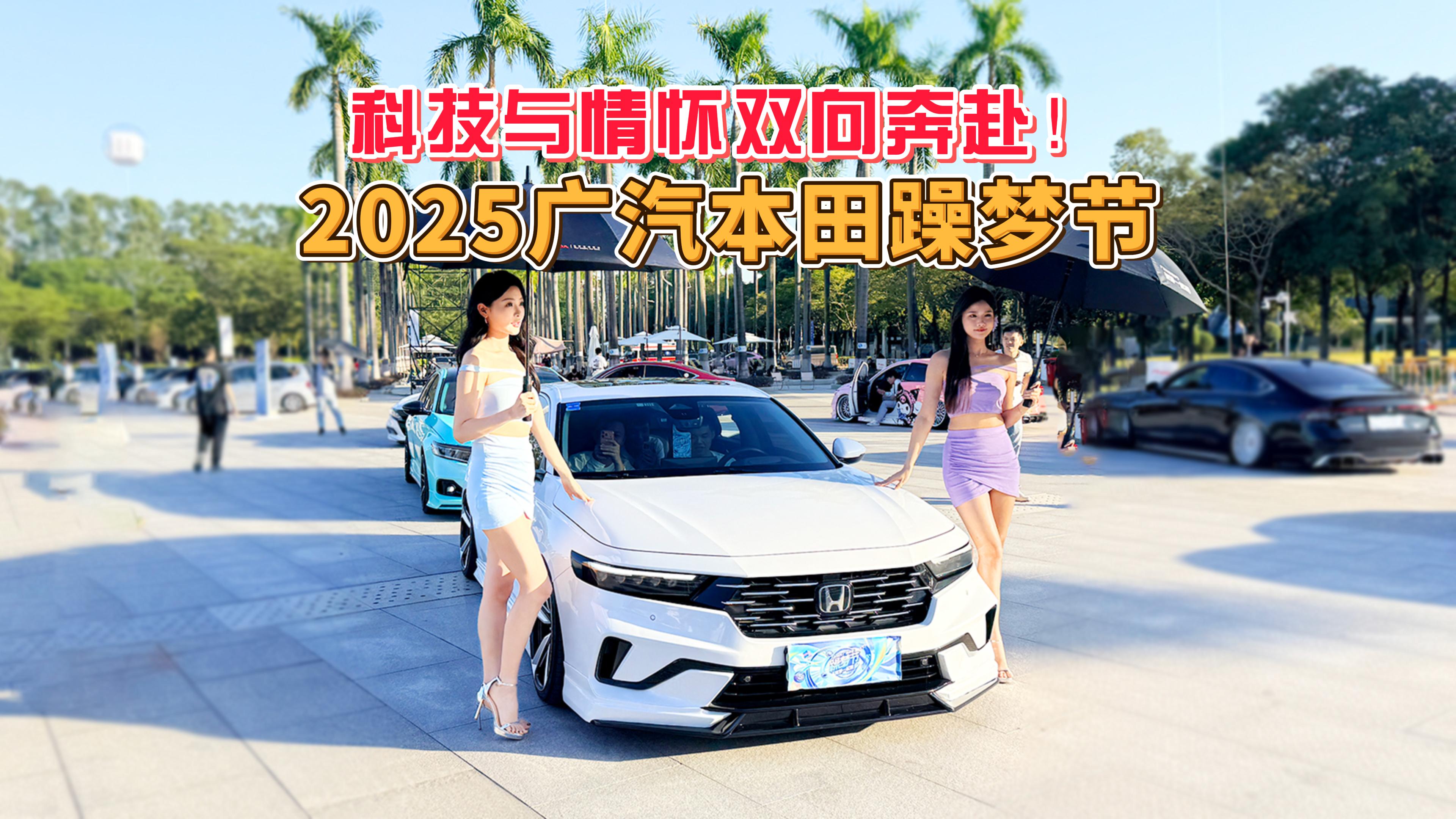 �Ƽ��c����p�򱼸���2025�V�����������