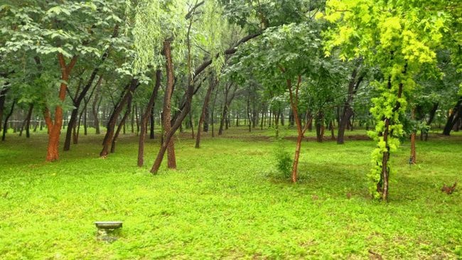 北京最美汽车电影院攻略：标致全新4008给你最全观看指南