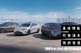 高快领航 代客泊车 海豹05 DM-i智驾版解析