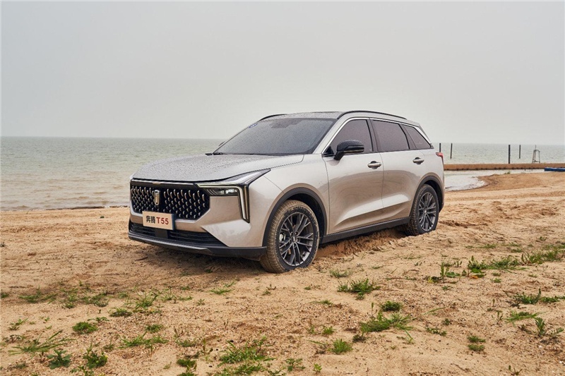 都是国潮SUV，同等价位帝豪S性价比高，奔腾T55动力优