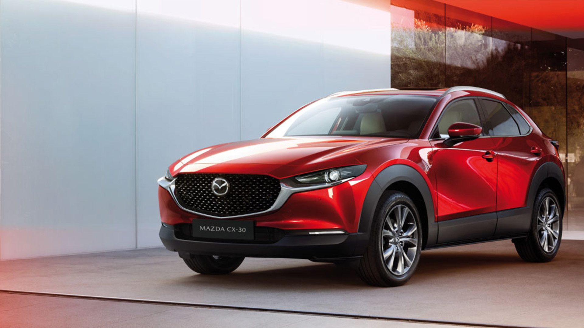 궯2.0 洴 ԴCX-30ò˫ȫ
