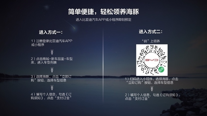9.68万 -12.48万 比亚迪海豚正式启动预售