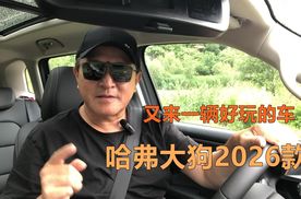 这是一辆好玩的车，哈弗大狗2026款体验