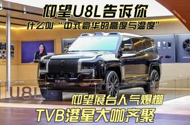 港星大咖齐聚仰望展台！仰望U8L领衔中式豪华，2025粤港澳大湾区车展究竟藏着多少惊喜？