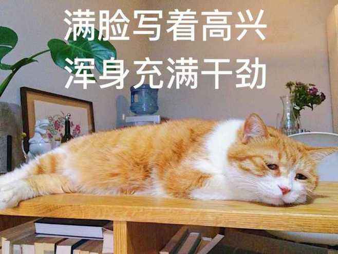 试驾荣威i6 Plus，多一点的选择