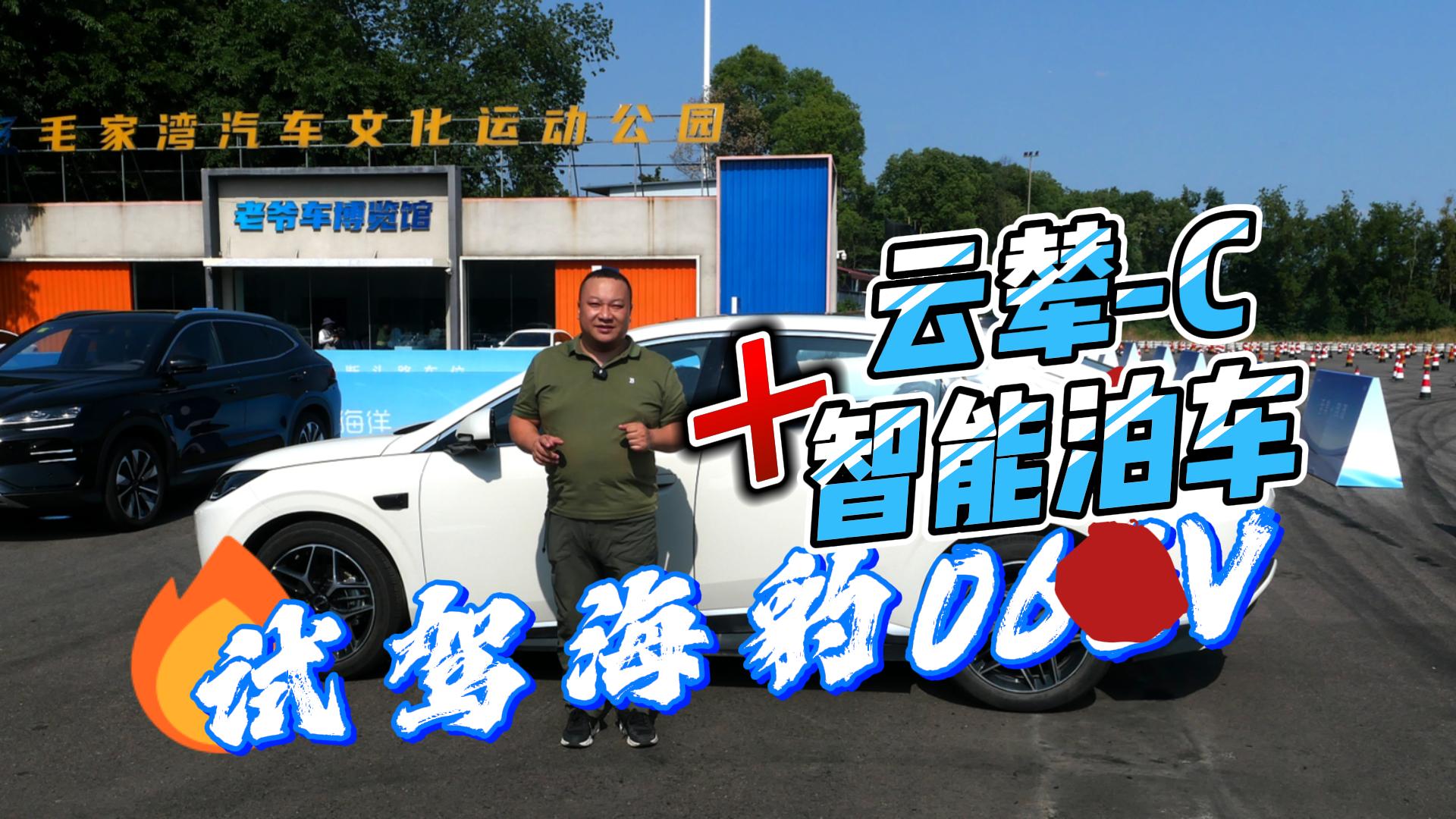 ԇ{ȁϺ06EV ڿƼŽ