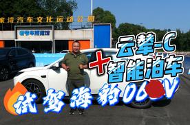 试驾比亚迪海豹06EV 黑科技量大管饱才叫香