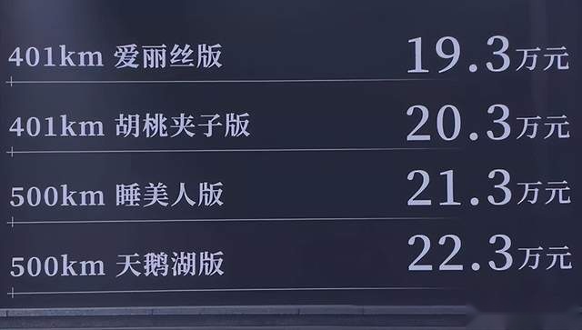 张若昀代言！欧拉芭蕾猫正式上市，售价19.3万起