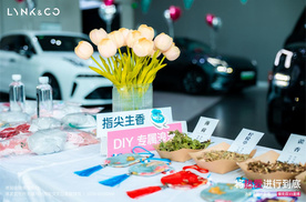 洛阳金领领克双十一 以热爱为名续写品质出行新篇章