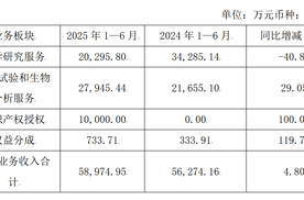 阳光诺和上半年营业总收入逼近6亿元  自营产品管线布局丰富 创新药静待落地开花