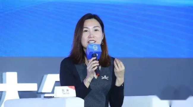 特斯拉副总裁陶琳和维权女车主：两个女人的战役