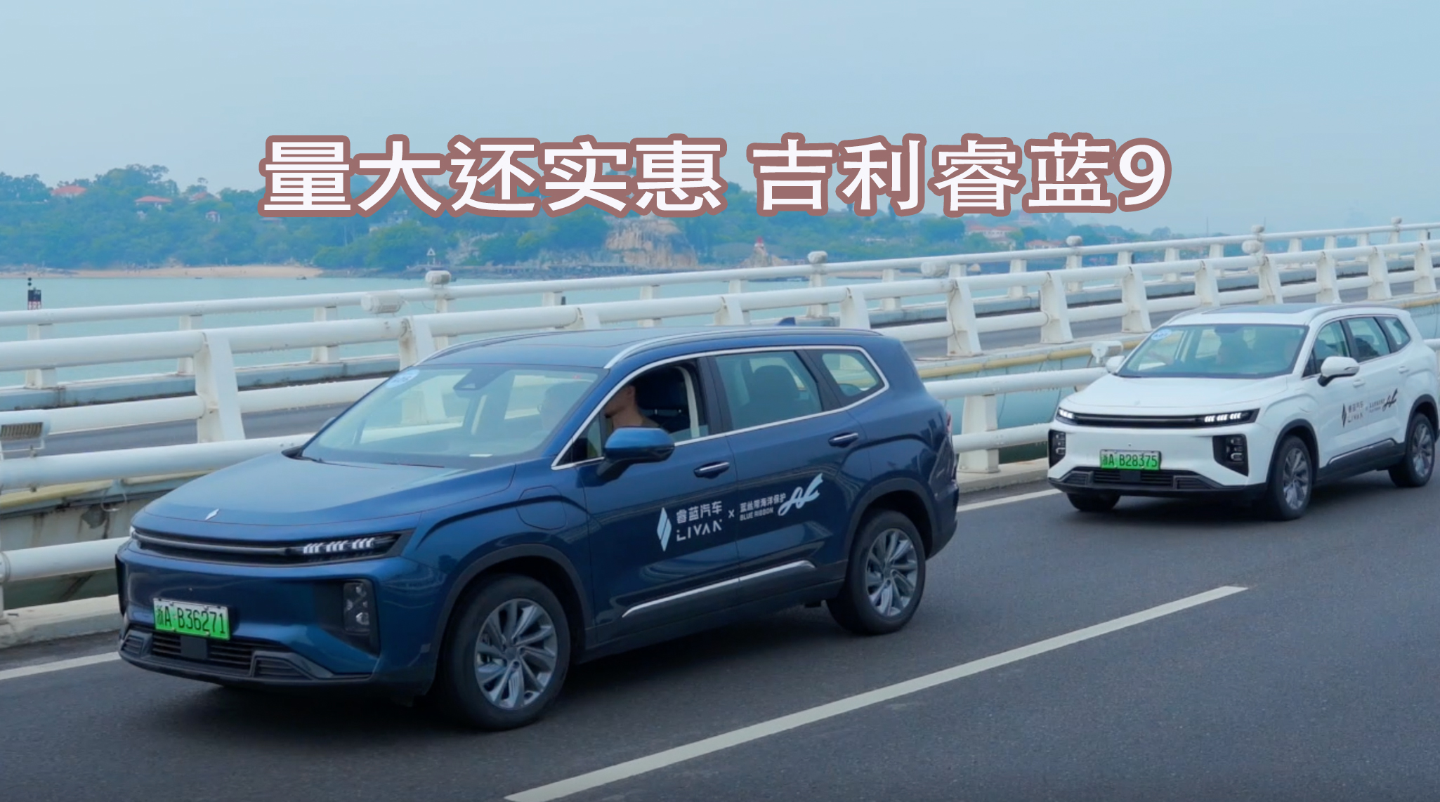 ���󌍻� ������{9