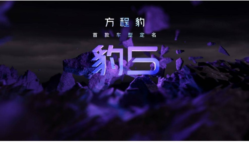 林燃：豹5卖给谁？