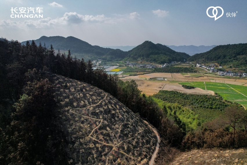 守护绿色家园，重回缙云山，长安汽车发起“共建青山计划”