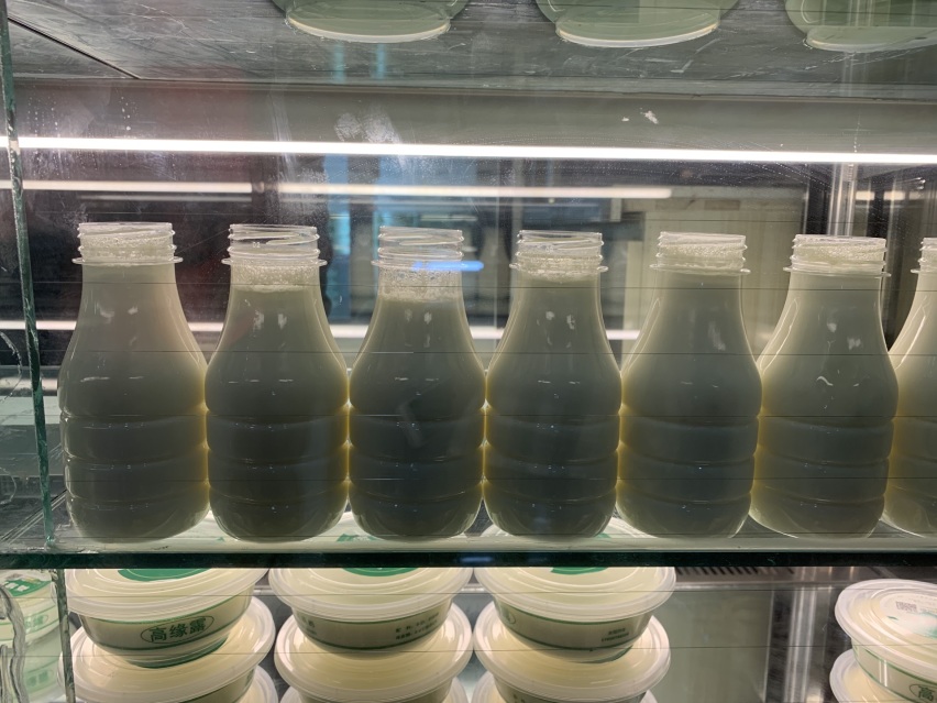 司有普游记：穿越腾格里沙漠
