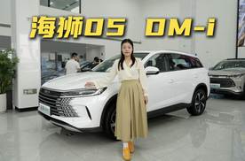 比亚迪全新入门级SUV海狮05 DM-i，115km旗舰型最值得买？