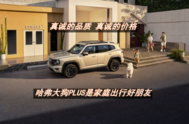 限时换新价10.98-15.78万元，哈弗大狗PLUS真诚上市