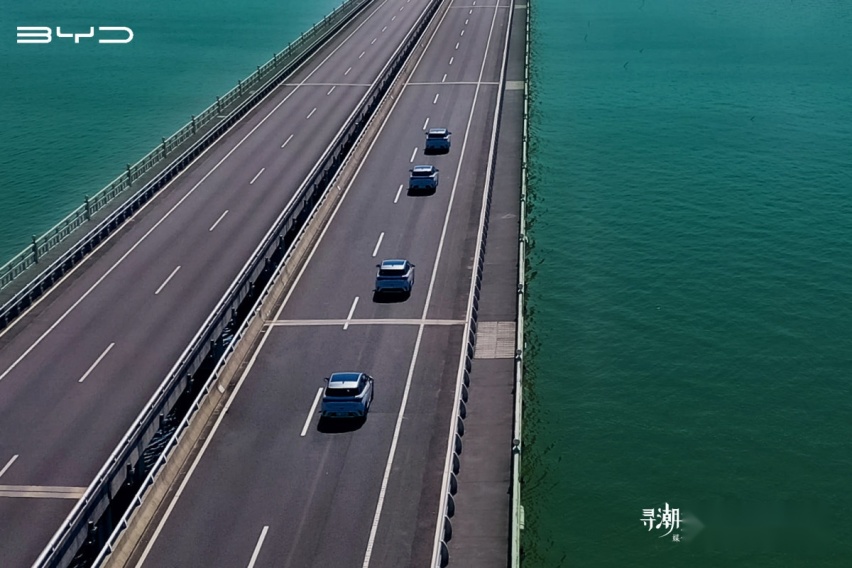 ​“寻潮造浪 生而出色” 比亚迪海豚苏州领YOUNG启程