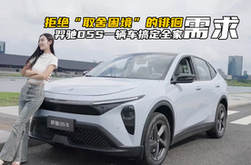 拒绝“取舍困境”的徘徊！羿驰05S一辆车搞定全家需求