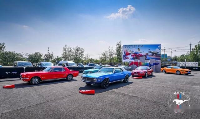 和开着Mustang的飘移大神Jr一起“杀死”轮胎