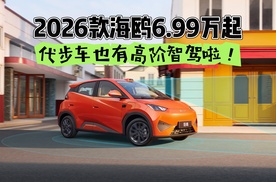 2026款海鸥6.99万起，代步车也有高阶智驾啦！