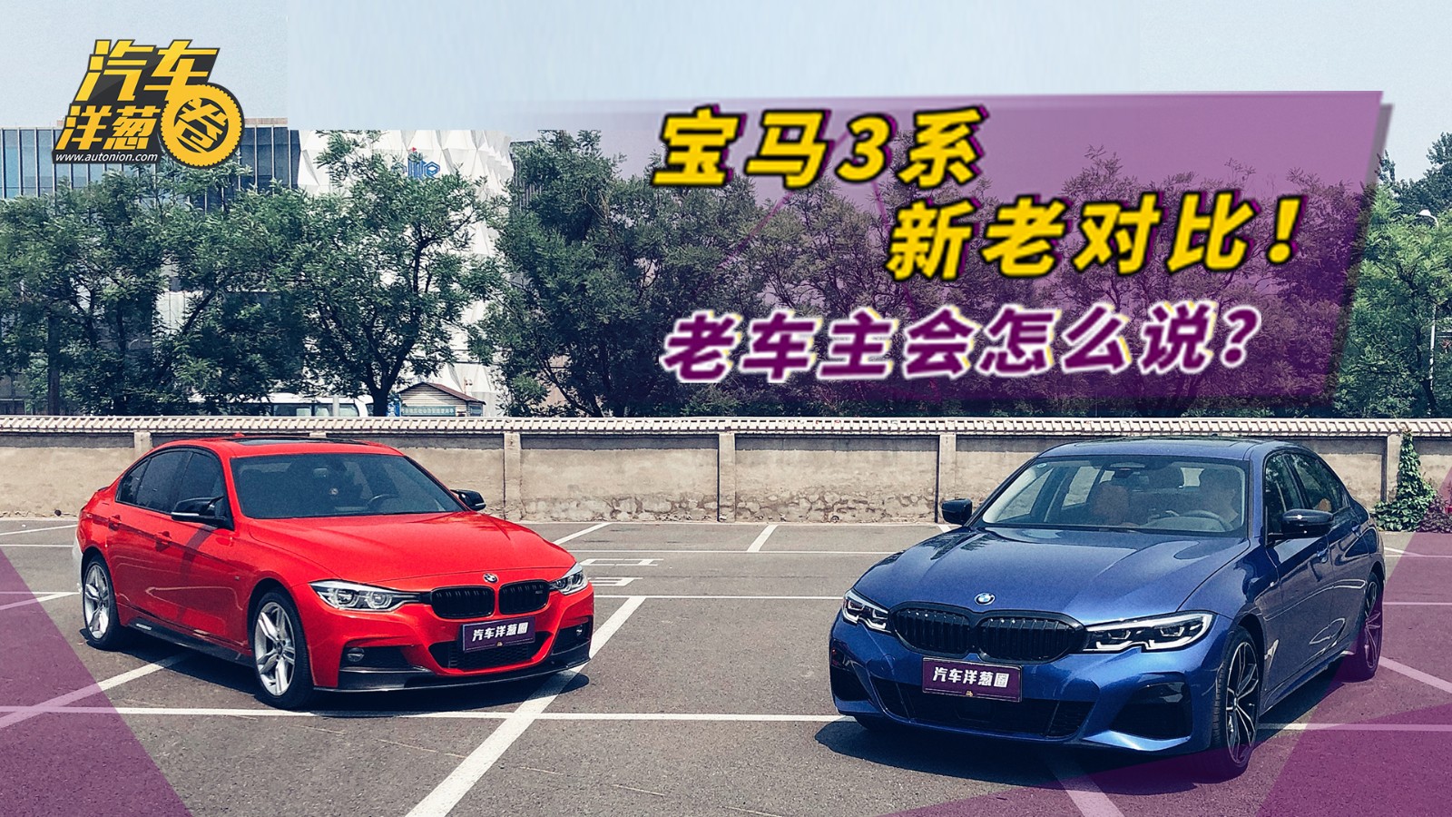 ����3ϵ���϶Աȣ��ϳ���������ë����