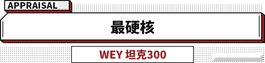 国产车卖1000万！真·豪车加价160万！今年真是太疯狂了！