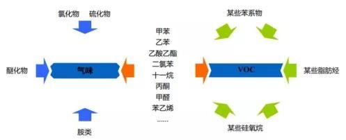 没有异味的车更健康？这或许是一个误解