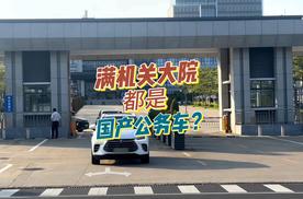 越来越多的国产公务车，预示着什么？#比亚迪