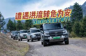 好人有好报，好报定有方程豹
