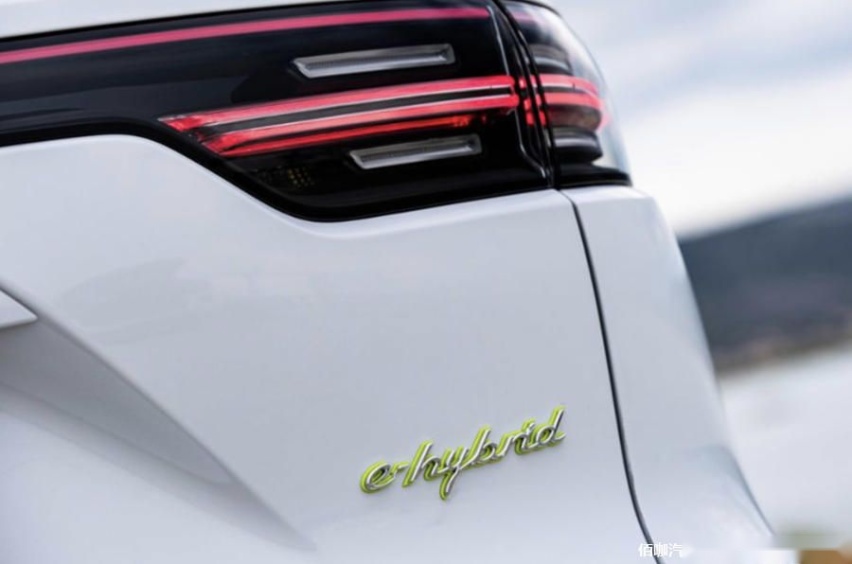 8-porsche-cayenne-e-hybrid-2021-rear.jpg