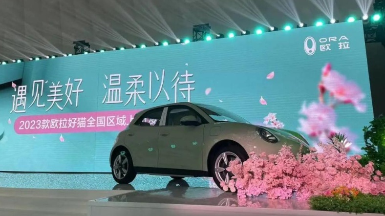 遇见美好，欧拉好猫