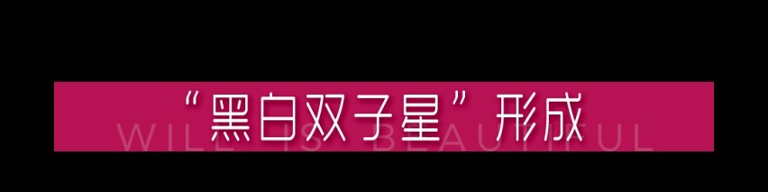 皓影全新智享版“出道”，幻夜系列黑白CP“成团”